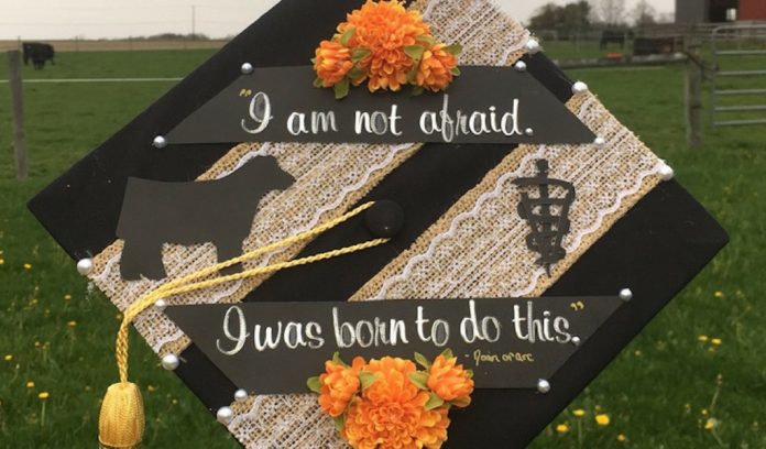 Hannah Jarvis decorated cap