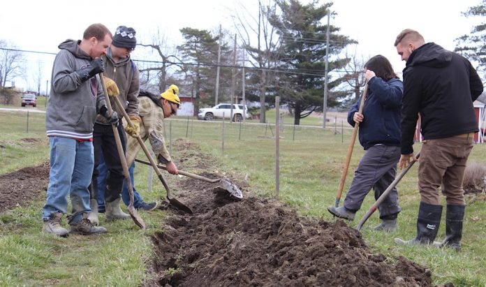 Hiram shoveling working soil