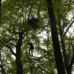 Tim Hoppe descends eagle nest