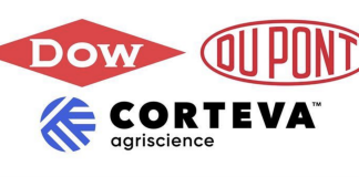 Updated DowDuPont seed corn scorecard DowDuPont
