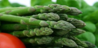 Farm-to-table dinners in W.Va. State Parks vegetables