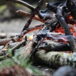 Register for Camp Canopy campfire