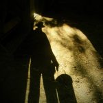 Should I continue farming? farmer