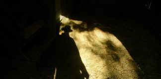 Should I continue farming? farmer