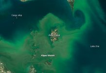 Working together for a solution Lake Erie algae bloom