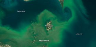 Lake Erie algae bloom