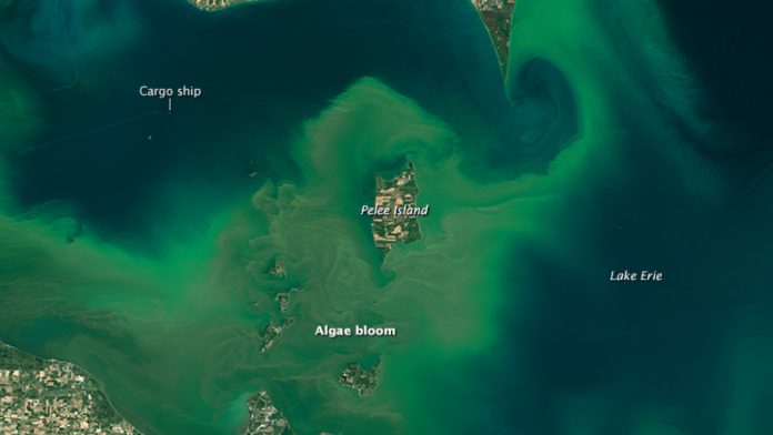 Lake Erie algae bloom