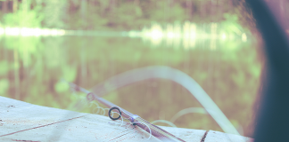 When litter kills wildlife fishing pole