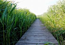 Van Loon shares career memories trail