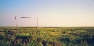 What’s the matter with Kansas? Kansas