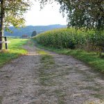 Losing our connection to the land farmland