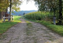 Losing our connection to the land farmland