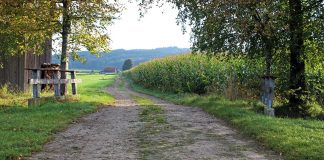 Losing our connection to the land farmland