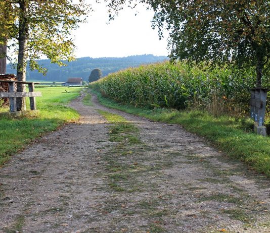 Property tax reform could mean big savings for rural Ohio landowners farmland