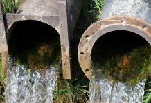 Artificial sweeteners help track wastewater pathway for scientists drainage pipes