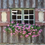 ‘Our love just kept growing’ farmhouse window