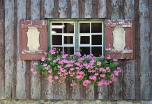 ‘Our love just kept growing’ farmhouse window