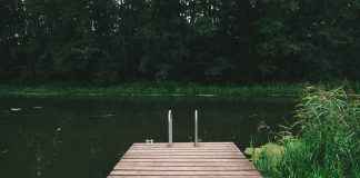 Parents’ own love story was almost interrupted by farming dock