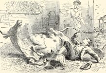 Reversing roles made this man think twice Rusty Iron Spilled Milk