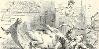 Reversing roles made this man think twice Rusty Iron Spilled Milk