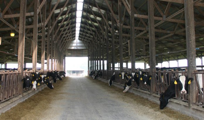 dairy barn dairy barn