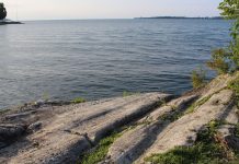 Ohio ag groups challenging Kasich’s water quality focus Lake Erie island shore