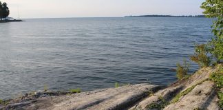 Lake Erie island shore