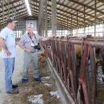 Jersey Jim Herron in barn