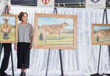 Photo gallery: 150th American Jersey Cattle Association annual meeting Official Jersey portraits unveiled