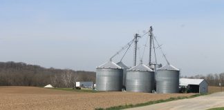 Tough times to give market advice Spillman Grain Farm