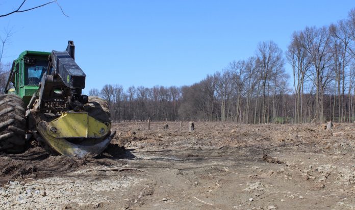 Wiles lagoon cleared 1 Wiles Lagoon