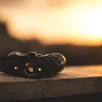 No binoculars in computer birding binoculars