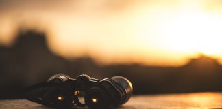 No binoculars in computer birding binoculars