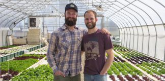 Kurk and Nick Ziegler, Lettuce Heads