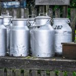Mentors made the difference milk cans