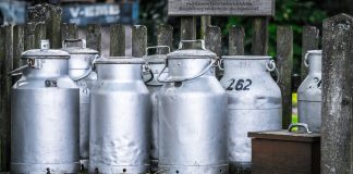 Mentors made the difference milk cans