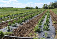 Pa. Certified Organic holds meeting Organic OEFFA produce