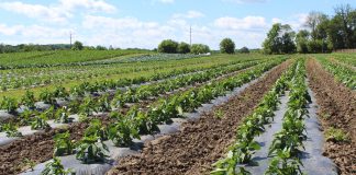 Pa. Certified Organic holds meeting Organic OEFFA produce