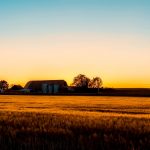 farm sunset