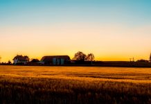 Don Harpster: an inspiring farmer farm sunset