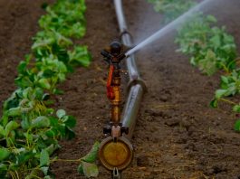 10 components of an irrigation system irrigation
