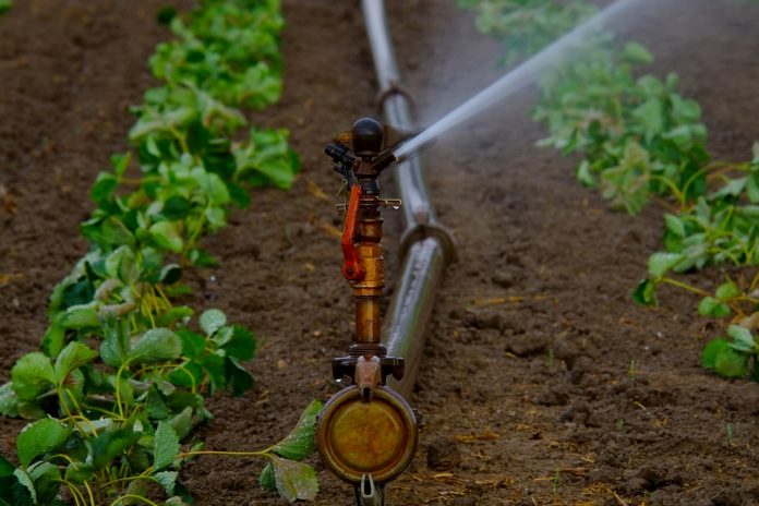 irrigation irrigation
