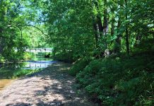Proper planning vital when developing land Riparian zone near a stream