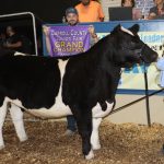 Five records set at 2018 Carroll County Fair market livestock sale