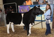 Five records set at 2018 Carroll County Fair market livestock sale