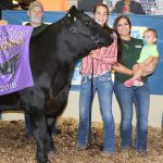 Carroll grand county bred steer