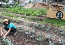 Columbus’ urban agriculture industry is growing Urban farm