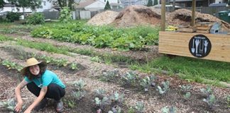 Columbus’ urban agriculture industry is growing Urban farm
