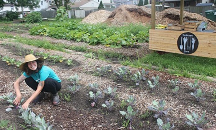 Marcie Todd Fresh Town osu Urban farm