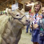 Summit County junior fair sale sets new records second year in a row Summit-County Fair champion steer
